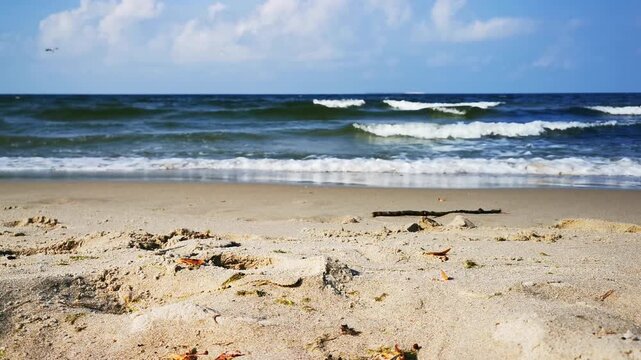 Waves Break along a Sandy Baltic Sea Beach