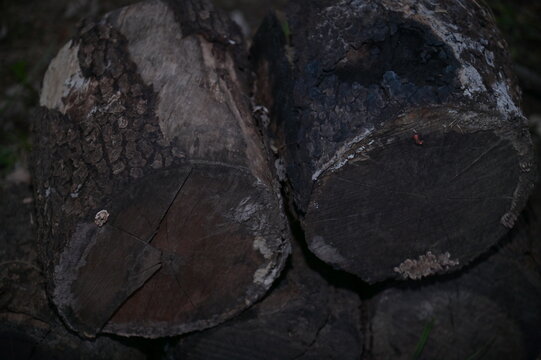 Firewood in a Woodpile