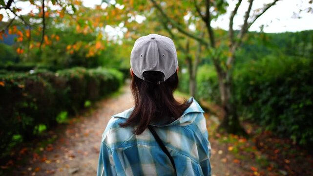 Woman Walking Along Tree-Lined Path with Early Autumn Foliage in Japan