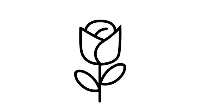Minimalist black line art animation of a blooming rose flower on a white background, ideal for motion graphics and modern designs.