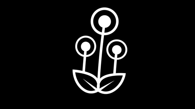 Minimalist white line animation of growing abstract botanical stems and leaves on a black background for organic motion design.