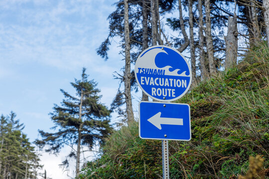 Blue and white tsunami evacuation route sign with a breaking wave symbol and left arrow on a grassy coastal bank near Roosevelt Beach, Washington, beneath tall spruce