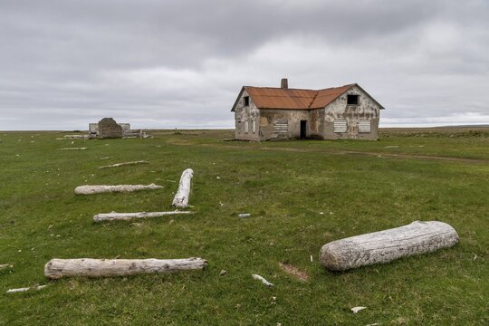 Driftwood, abandoned dilapidated house, Langanes Peninsula, Iceland