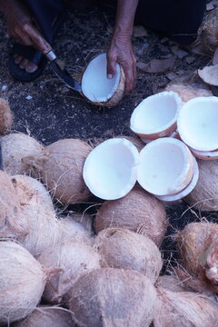 Top View Close-Up of Senior Woman Hands Peeling Fresh Coconut Meat