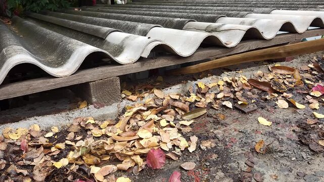 Using Wooden Stick to Remove Dry Leaves from Rooftop