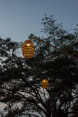 lantern on the tree at night © Nguyen