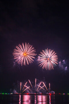 Pink Purple firework in night time celebrate national holiday. Purple Firework celebrate anniversary happy new year 2027, 4th of july holiday festival. Pink firework Countdown to new year 2026