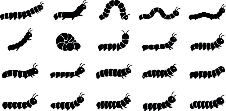Caterpillar and Insect Larvae Silhouette Icon Set Featuring Crawling Worms Invertebrate Bugs Grubs Millipedes Looper Larval Strains and Agricultural Garden Pest Symbols