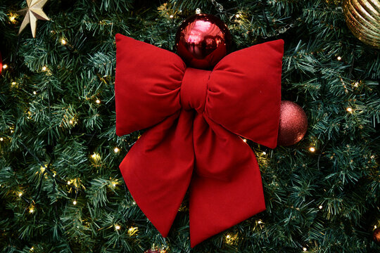 Red Velvet Bow Decorates a Lit Christmas Tree