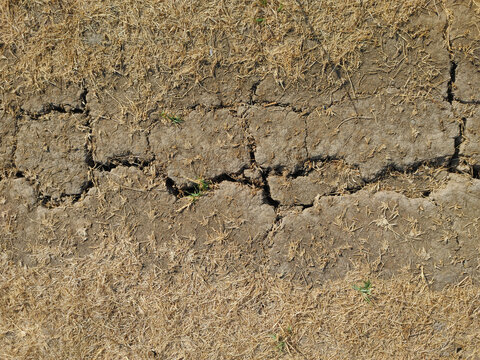 Close-up top-down photograph of cracked dry soil and withered grass during drought conditions in East Java