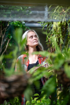 Thoughtful tranquil woman florist working in greenhouse pavilion, standing observing hanging plant, pensive relaxed female botanical garden employee enjoying plants in orangery looking at foliage.