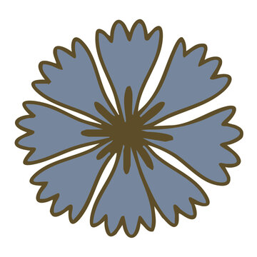 Vintage cornflower or blue flower illustration