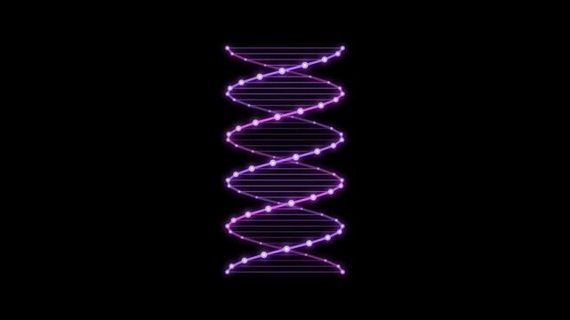 Abstract Purple Neon DNA Double Helix Seamless Loop Animation with Glowing Molecular Strands, Luminous Genetic Structure and Futuristic Biotechnology Science Visualization on a Pure Black Background