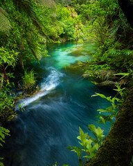 Blue Spring in New Zealand © Deon