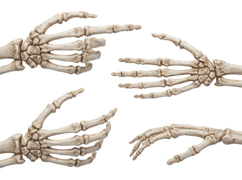 Skeleton hands reaching and pointing