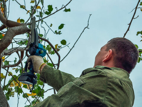 A professional gardener cutting tree branches with a cordless hand chainsaw while sitting on a trunk, showcasing residential seasonal tree trimming service, autumn backyard orchard pruning work. 