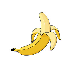 fresh banana with open peel flaps and intact top flat illustration © Pheladi Shai