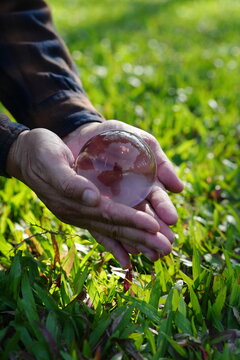 Human hands holding crystal globe on green grass background, earth care and environmental protection concept