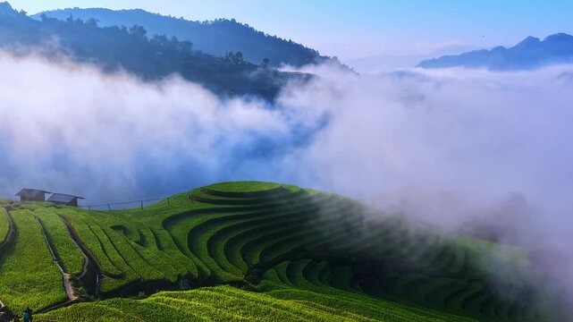 Aerial view of golden rice terraces at Mu Cang Chai town near Sapa city, North of Vietnam. Beautiful terraced rice field in harvest season in Lao Cai province.