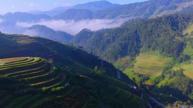 Aerial view of golden rice terraces at Mu Cang Chai town near Sapa city, North of Vietnam. Beautiful terraced rice field in harvest season in Lao Cai province.