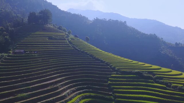 Aerial view of golden rice terraces at Mu Cang Chai town near Sapa city, North of Vietnam. Beautiful terraced rice field in harvest season in Lao Cai province.
