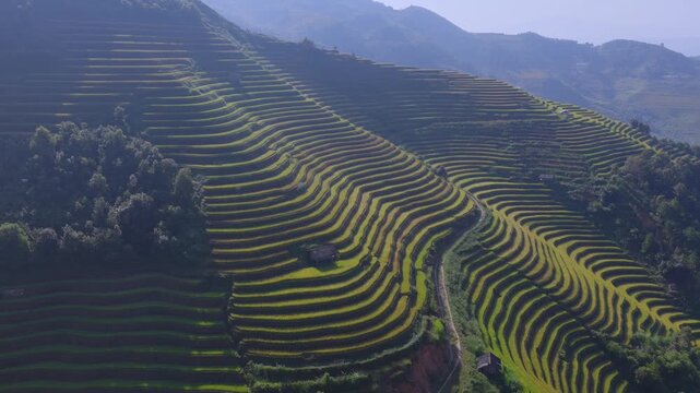 Aerial view of golden rice terraces at Mu Cang Chai town near Sapa city, North of Vietnam. Beautiful terraced rice field in harvest season in Lao Cai province.