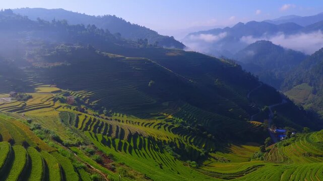 Aerial view of golden rice terraces at Mu Cang Chai town near Sapa city, North of Vietnam. Beautiful terraced rice field in harvest season in Lao Cai province.