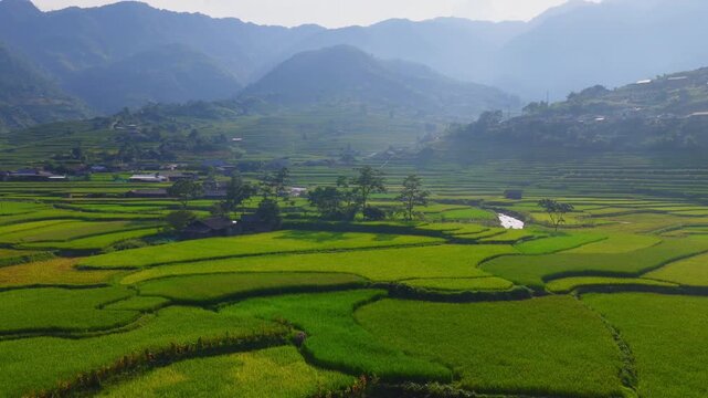 Aerial view of golden rice terraces at Khau Pha pass, near Mu Cang Chai town and Sapa city, Vietnam.