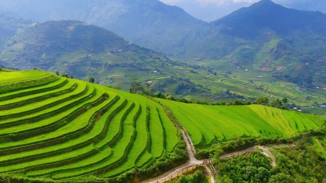 Aerial view of golden rice terraces at Khau Pha pass, near Mu Cang Chai town and Sapa city, Vietnam.