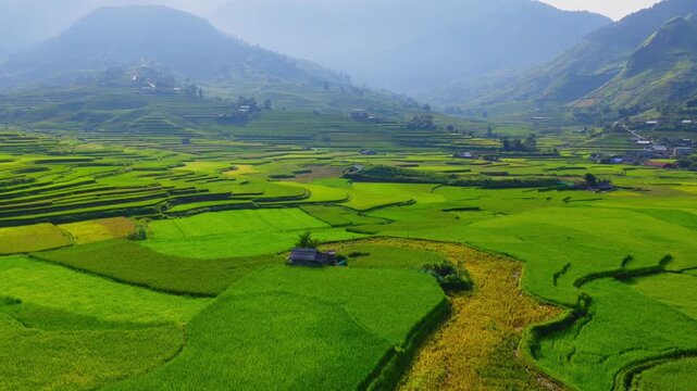 Aerial view of golden rice terraces at Khau Pha pass, near Mu Cang Chai town and Sapa city, Vietnam.