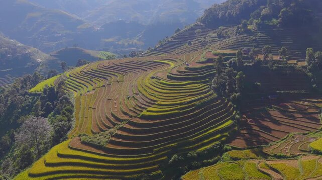 Aerial view of golden rice terraces at Mu Cang Chai town near Sapa city, North of Vietnam. Beautiful terraced rice field in harvest season in Lao Cai province.