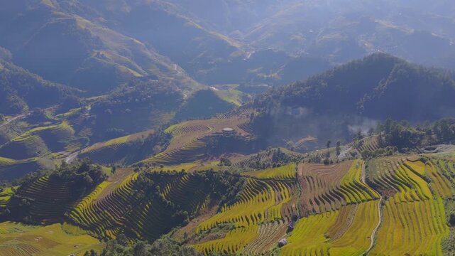 Aerial view of golden rice terraces at Mu Cang Chai town near Sapa city, North of Vietnam. Beautiful terraced rice field in harvest season in Lao Cai province.