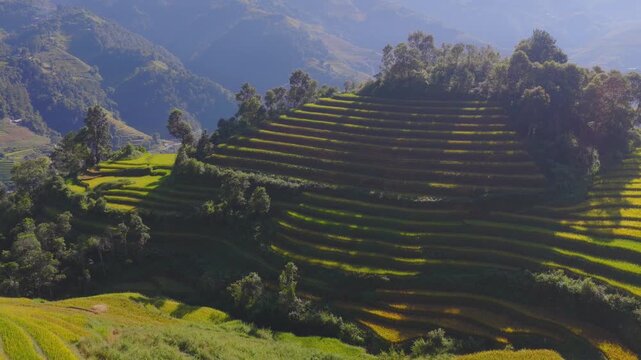 Aerial view of golden rice terraces at Mu Cang Chai town near Sapa city, North of Vietnam. Beautiful terraced rice field in harvest season in Lao Cai province.