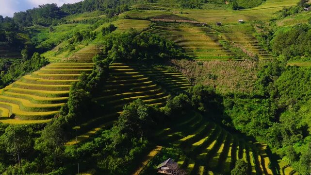 Aerial view of golden rice terraces at Mu Cang Chai town near Sapa city, North of Vietnam. Beautiful terraced rice field in harvest season in Lao Cai province.