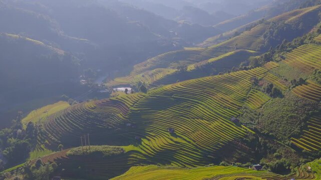 Aerial view of golden rice terraces at Mu Cang Chai town near Sapa city, North of Vietnam. Beautiful terraced rice field in harvest season in Lao Cai province.