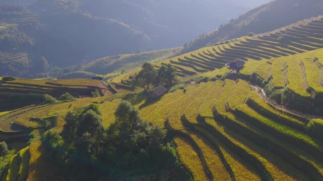Aerial view of golden rice terraces at Mu Cang Chai town near Sapa city, North of Vietnam. Beautiful terraced rice field in harvest season in Lao Cai province.