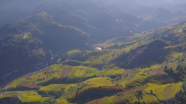 Aerial view of golden rice terraces at Mu Cang Chai town near Sapa city, North of Vietnam. Beautiful terraced rice field in harvest season in Lao Cai province.