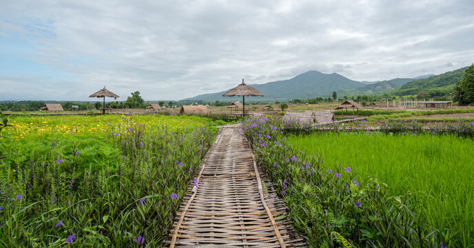 Natural homestay ,Best Organic Farm Stays in Thailand