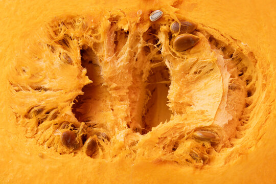 inside of a fresh pumpkin with seeds and fibrous pulp close-up