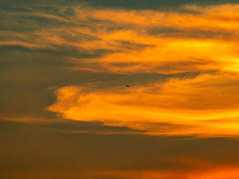 Fiery orange sunset clouds glowing with golden light and a lone bird in flight against a dark moody sky, dramatic evening cloudscape