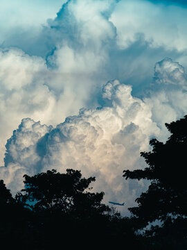 Passenger airplane silhouette climbing through towering cumulus clouds above dark tree canopy at dusk, dramatic moody blue and peach evening sky