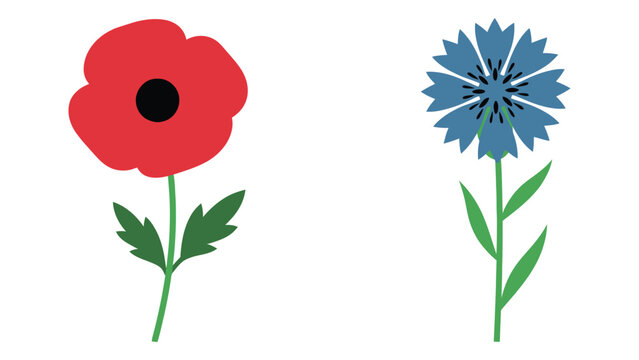 Red poppy and blue cornflower with green stems