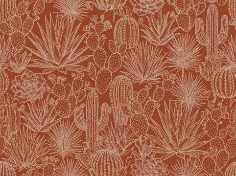 Cactus and succulent patterns on warm brown background