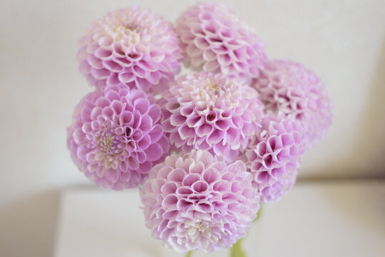Beautiful Snoho Sonia Dahlia Bouquet In Vase