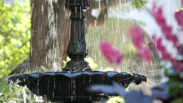 New York Manhattan Midtown Madison Square Park, United States of America. Birds bathing in fountain water splashes. Summer greenery on 5 fifth avenue and Broadway corner, Flatiron district city life.