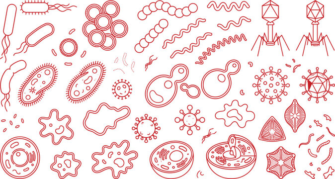 Bacteria and virus icon set line art medical vector illustration collection