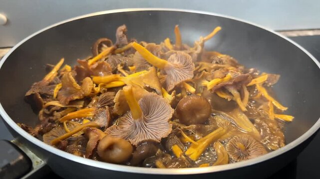 Golden-stemmed Craterellus tubaeformis chanterelles frying in a steel pan. Wild mushroom cooking, foraged food, autumn forest harvest, seasonal recipes, healthy eating.