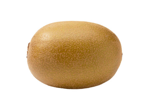 Whole golden kiwifruit sungold kiwi isolated on transparent background