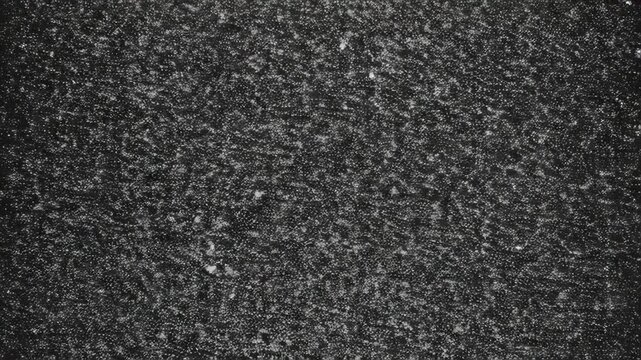 A textured, abstract image features a mottled surface of varying shades of grey and white, creating a dense pattern