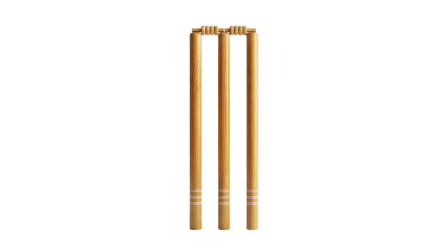 3D digital illustration of a wooden cricket wicket set featuring three upright cylindrical stumps and two bails resting on top, adorned with painted white base stripes, isolated on white background